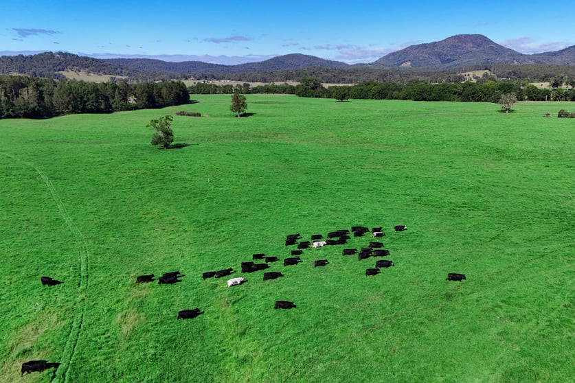 Click to view all images 1456 Rollands Plains Road Ballengarra NSW 2441 - Image 2