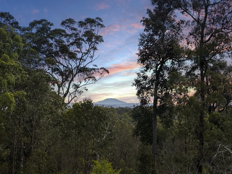 406 Howards Road Cedar Creek NSW 2325 - Image 2