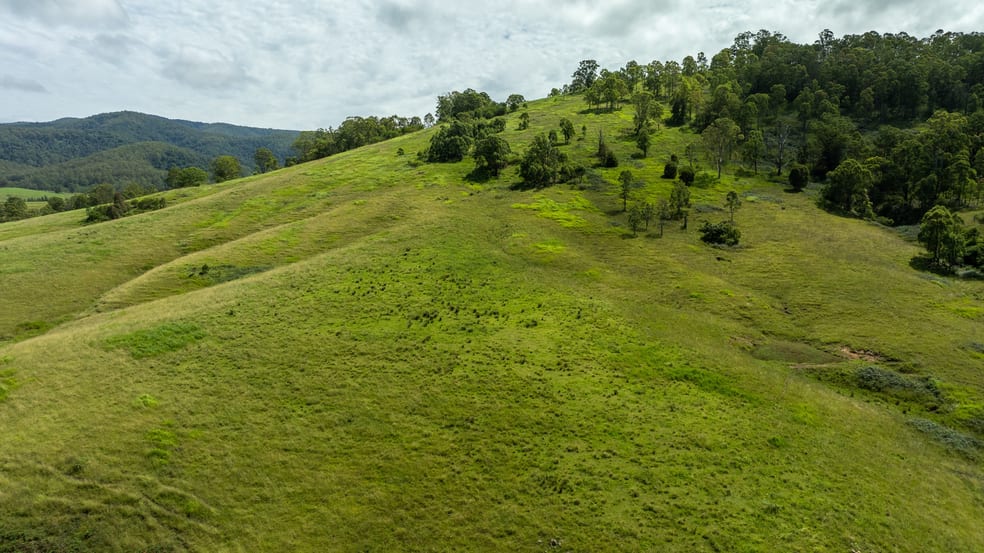 Click to view all images 664 Bowman Farm Road Bowman NSW 2422 - Image 2