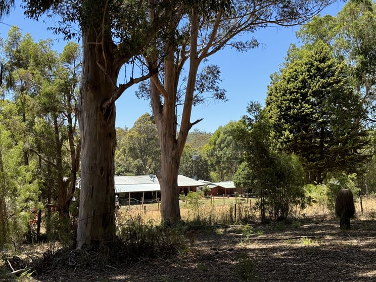 Click to view all images 393 Cutting Road (Upper Warren) Manjimup WA 6258 - Image 2