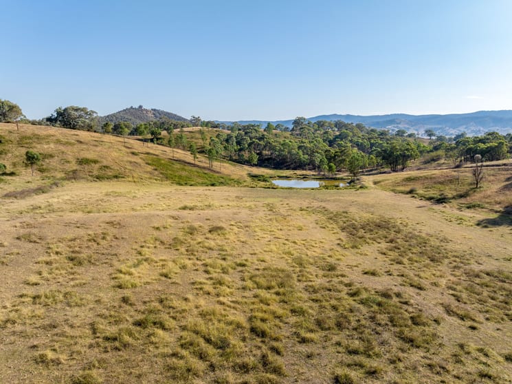 Click to view all images 2543 Westbrook Road Oberne Creek NSW 2650 - Image 1