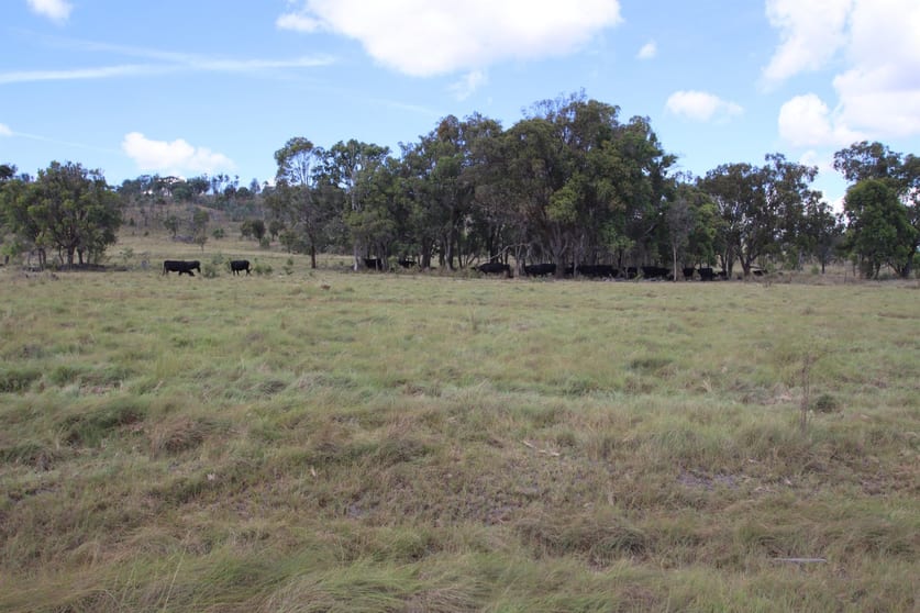Click to view all images Lot 1 Roos Road Tenterfield NSW 2372 - Image 2