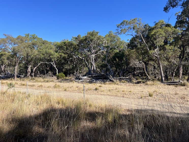 Click to view all images Lot 664 & Lot 2093 Horne Rd Mount Barker WA 6324 - Image 1
