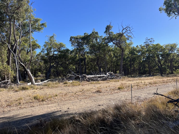Click to view all images Lot 664 & Lot 2093 Horne Rd Mount Barker WA 6324 - Image 3