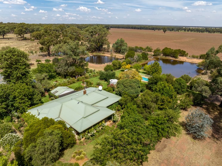 Click to view all images 969 Thanowring Road Temora NSW 2666 - Image 3