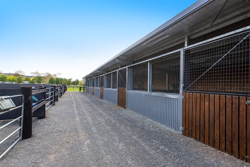 Click to view all images 557 Yarramalong Road Wyong Creek NSW 2259 - Image 3