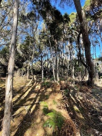 Click to view all images 00 Fraser Rd Pegarah TAS 7256 - Image 2