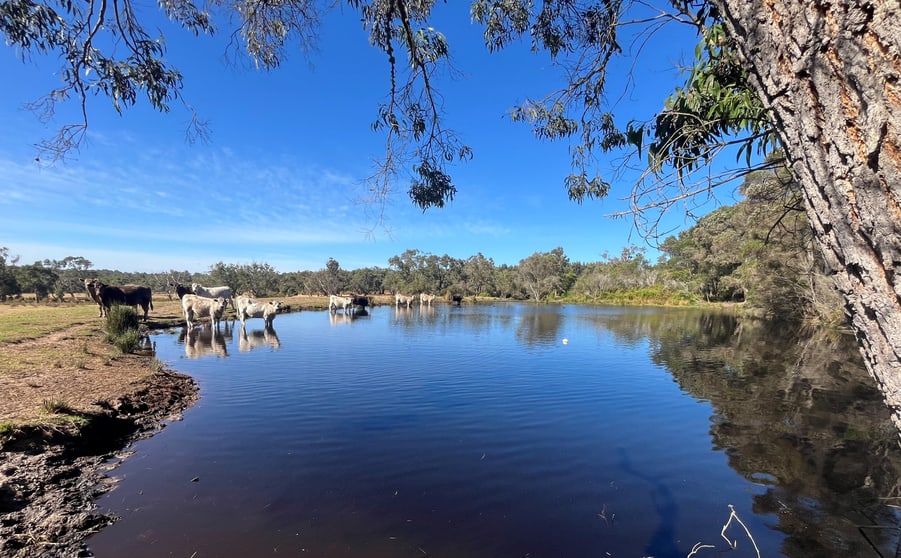 Click to view all images 550 Sunny Glen Road Hay WA 6333 - Image 1