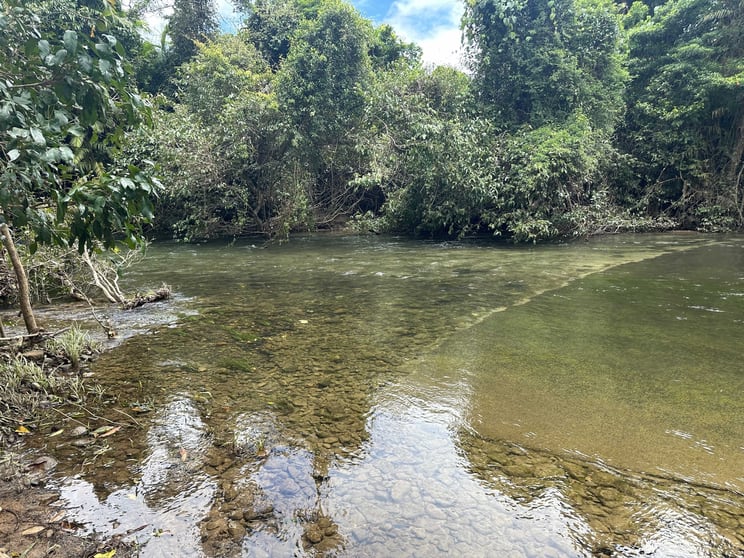 Click to view all images 54 Tea Plantation Road Jarra Creek QLD 4854 - Image 1