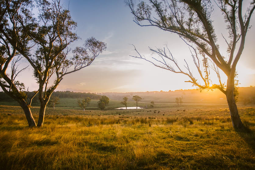 Click to view all images Wingello NSW 2579 - Image 1