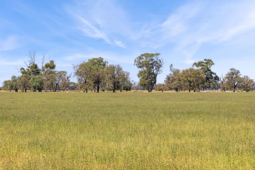 Click to view all images CA 1 Loddon Valley Highway Yarraberb VIC 3516 - Image 2