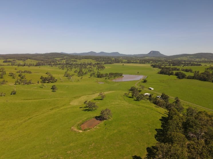 Click to view all images 336 Grahams Creek Road Woodenbong NSW 2476 - Image 1