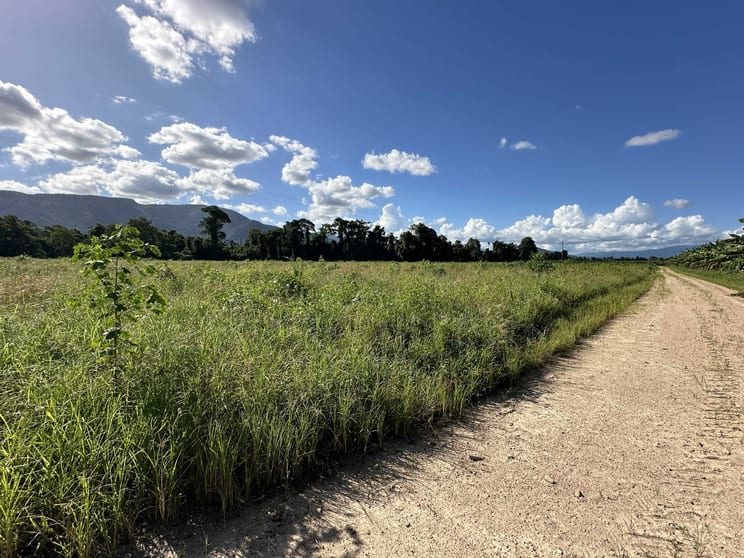 Click to view all images Lot 2 South Davidson Road Munro Plains QLD 4854 - Image 3