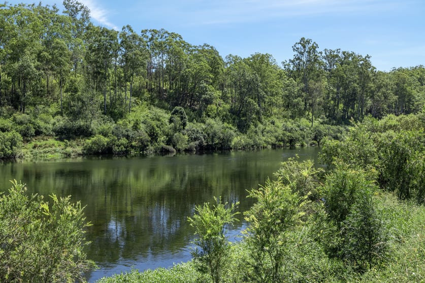 Click to view all images 484 Toms Gully Road Hickeys Creek NSW 2440 - Image 1