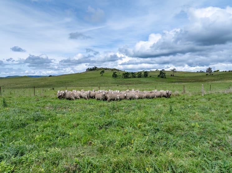 Click to view all images 118 Golspie Road Taralga NSW 2580 - Image 2