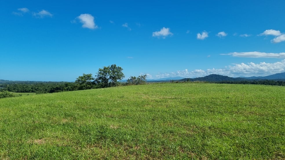 Click to view all images 753 Bramston Beach Road East Russell QLD 4861 - Image 2