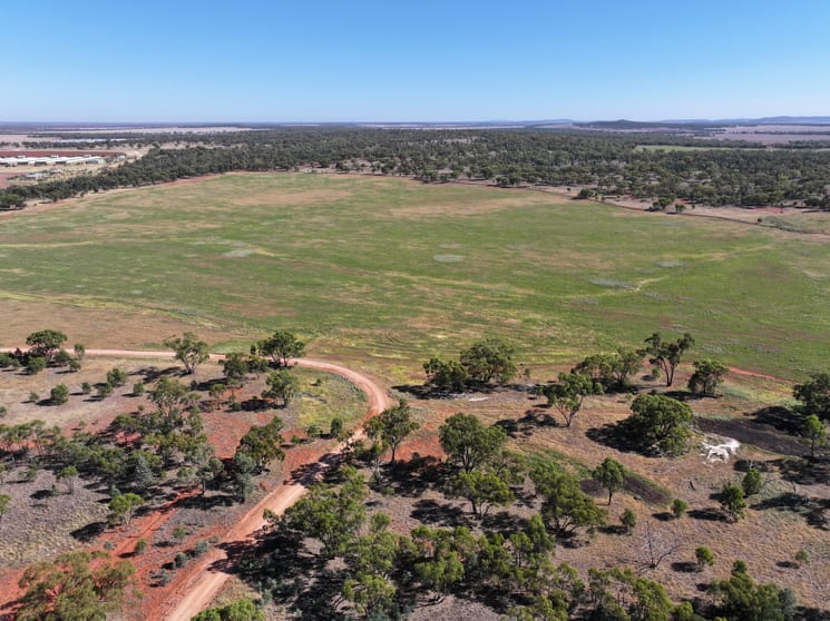 Click to view all images Back Hillston Road Tabbita NSW 2652 - Image 1
