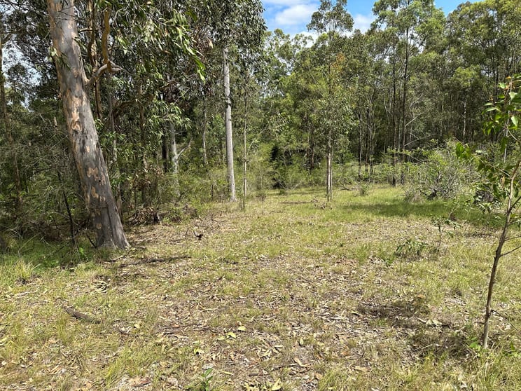 Click to view all images 95/3709 Clarence Town Road Dungog NSW 2420 - Image 3