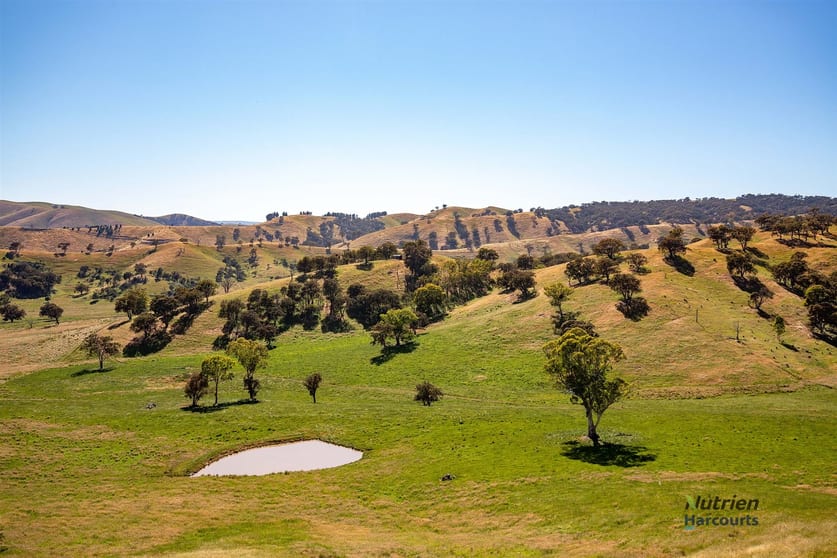 Click to view all images 4782 Whittlesea-yea Road Yea VIC 3717 - Image 1