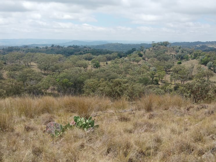 Click to view all images Upper Bingara Rd Bingara NSW 2404 - Image 2