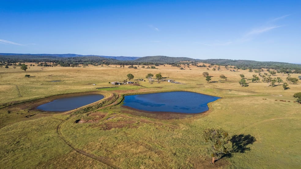 Click to view all images 1872 Reedy Creek Road Tenterfield NSW 2372 - Image 1