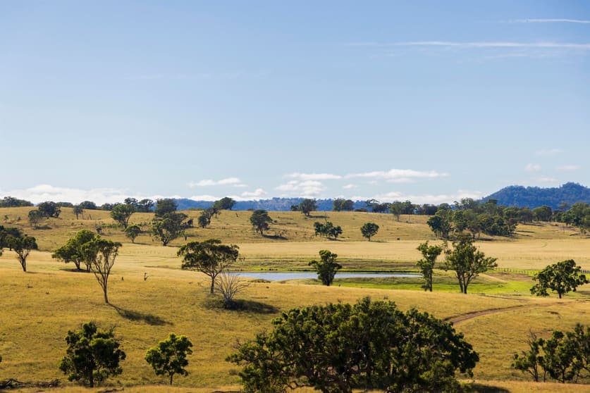 Click to view all images 1872 Reedy Creek Road Tenterfield NSW 2372 - Image 3