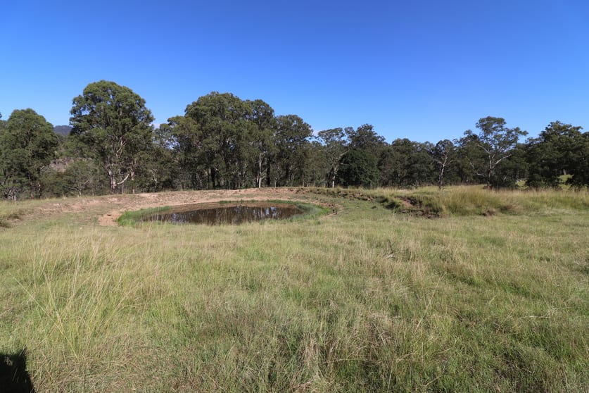 Click to view all images Lot 91/7986 Kempsey Rd Lower Creek NSW 2440 - Image 2