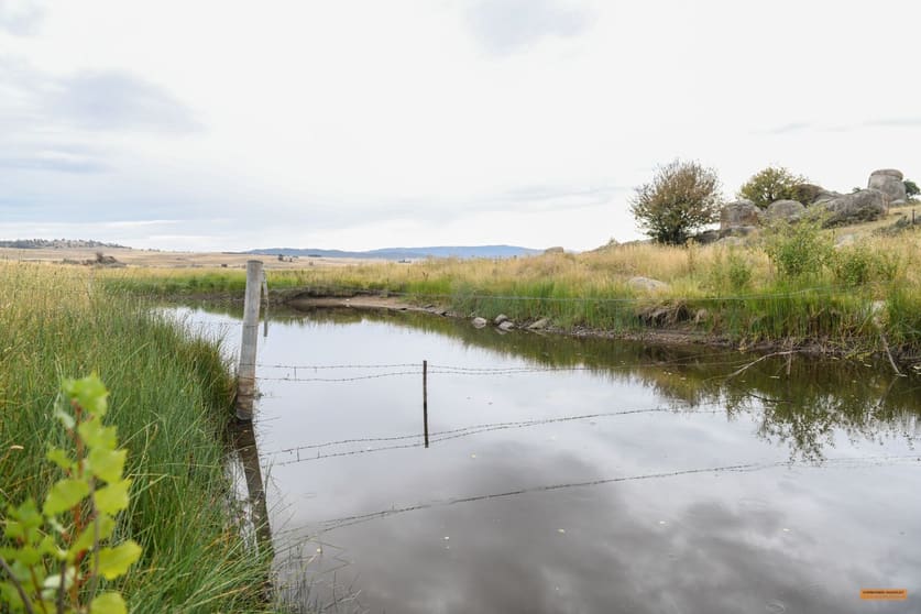 Click to view all images "Spring Creek" 126 Brooks Road Berridale NSW 2628 - Image 2