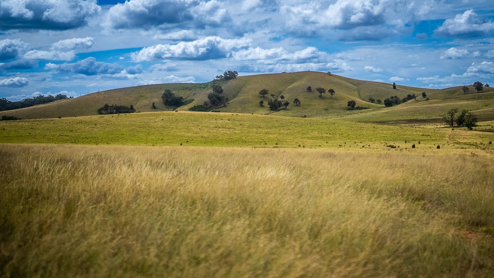 Click to view all images 473 Eldriges Lane Taylors Flat NSW 2586 - Image 3