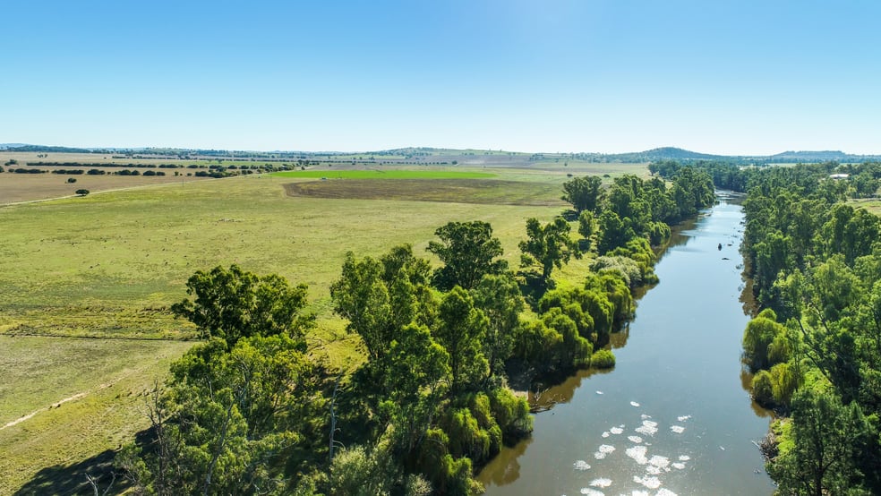 Click to view all images Maybrook 648 River Road Geurie NSW 2818 - Image 3