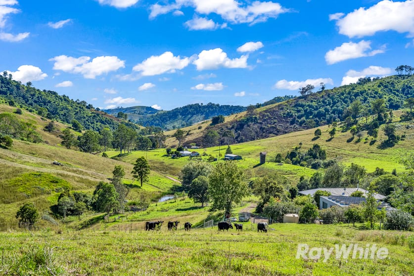 Click to view all images 410 Titaatee Creek Road Gloucester NSW 2422 - Image 2