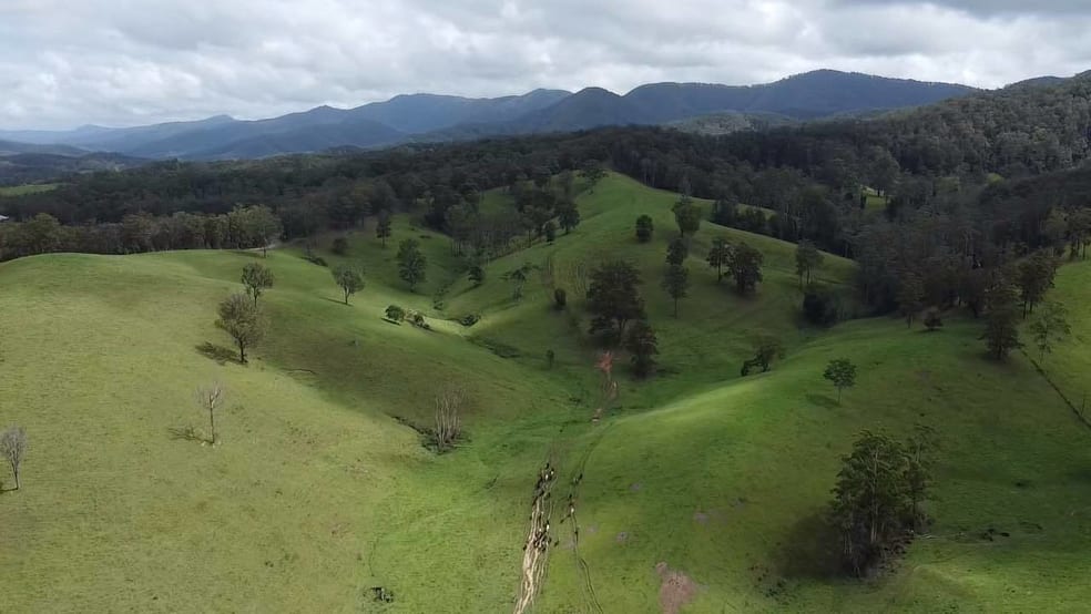 Click to view all images 27 & 4/3253 Taylors Arm Rd Upper Taylors Arm NSW 2447 - Image 2