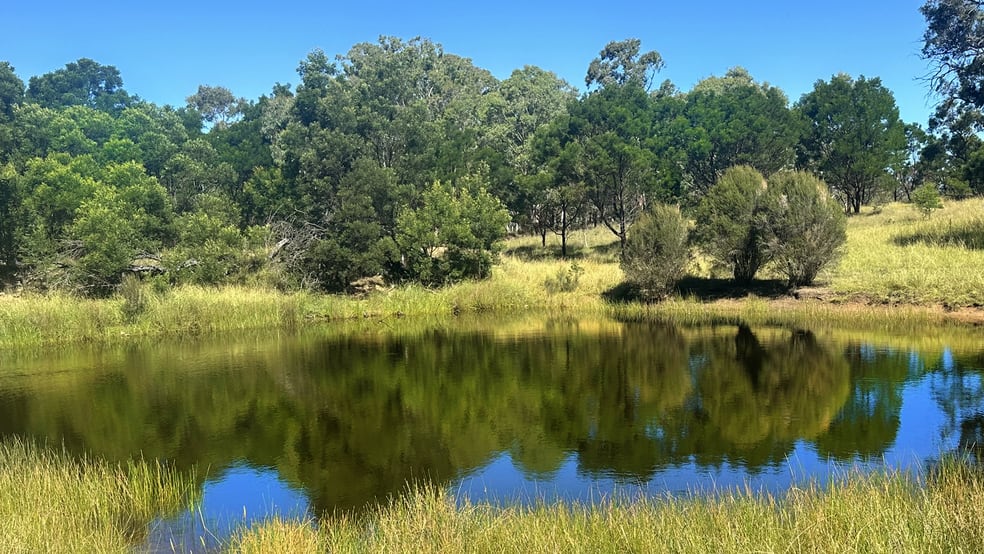 Click to view all images Parcel 2/371 Mayfield Road Braidwood NSW 2622 - Image 2