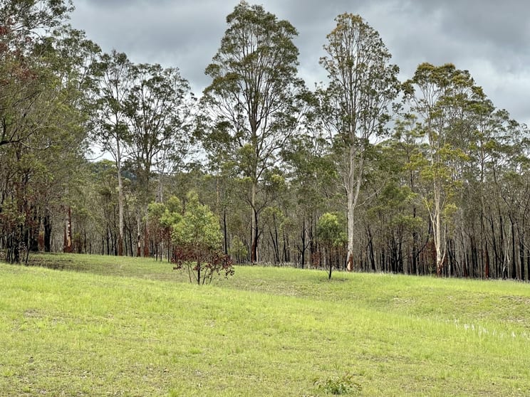 Click to view all images 1786 Willi Willi Rd Moparrabah NSW 2440 - Image 1