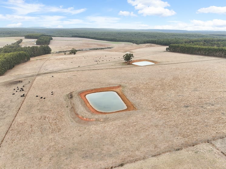 Click to view all images Flannagans Road Irrewillipe East VIC 3249 - Image 3