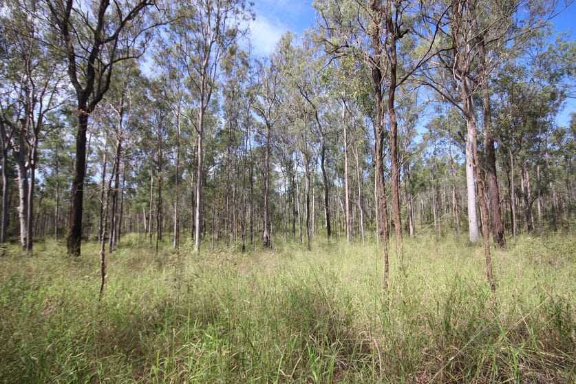 Click to view all images Allies Creek Road Monogorilby QLD 4626 - Image 2