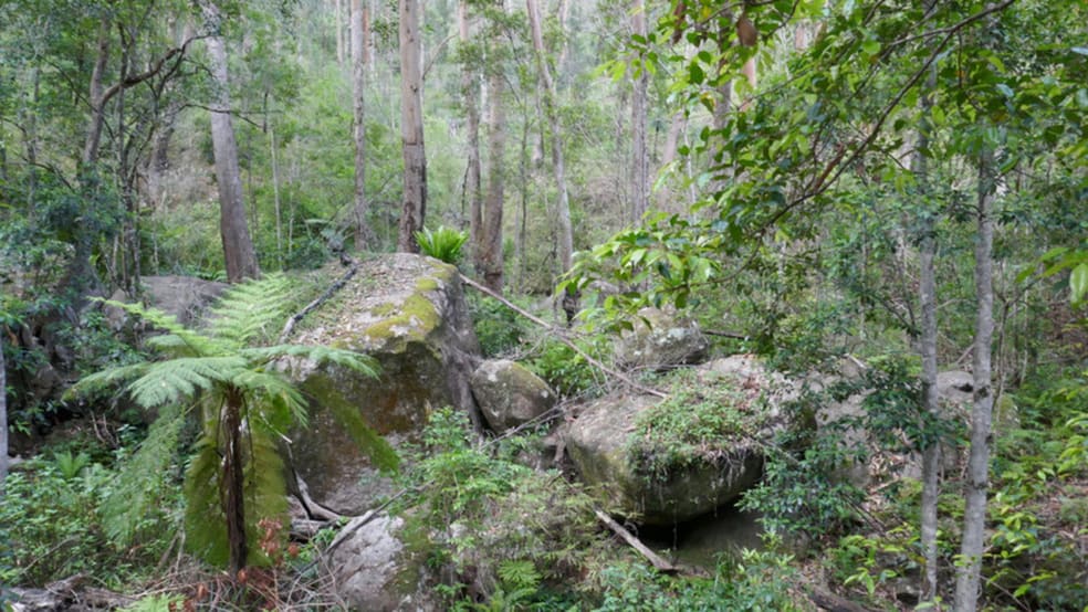 Click to view all images 3447 Rocky River Road Rocky River NSW 2372 - Image 2