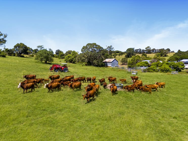 Click to view all images 861 Lowood Minden Road Minden QLD 4311 - Image 2