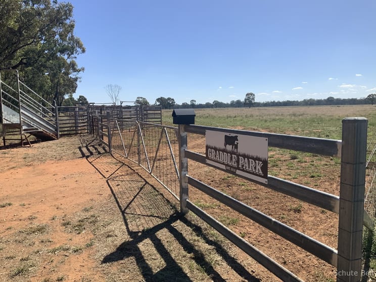 Click to view all images 49 Dawes Crossing Narromine NSW 2821 - Image 1