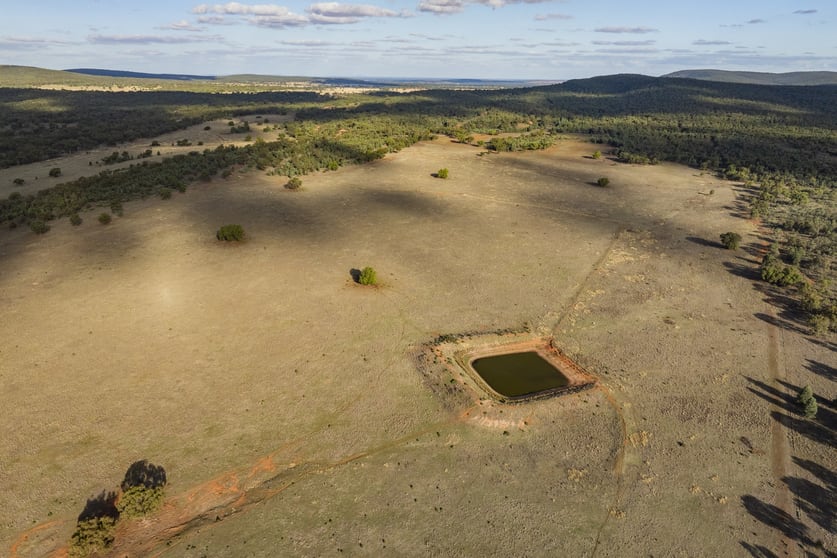 Click to view all images 431 The Springs Road Rankins Springs NSW 2669 - Image 3