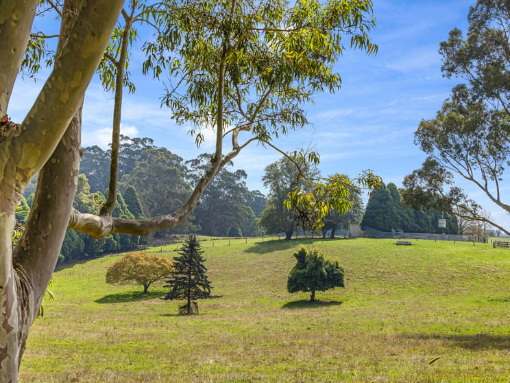 Click to view all images 2775 Drouin-Korumburra Road Poowong East VIC 3988 - Image 3