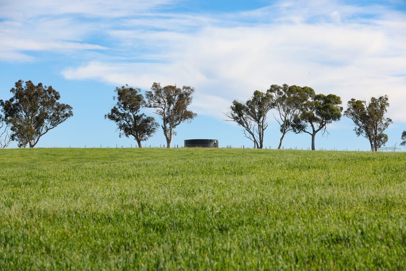 Click to view all images 710 Inverary Road Paddys River NSW 2577 - Image 2