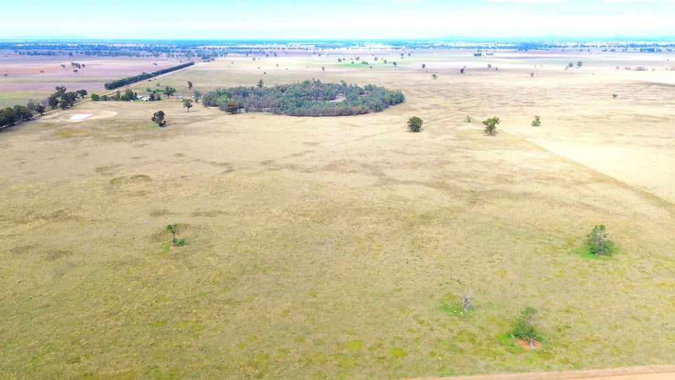 Click to view all images Monavale McAlisters Lane Quandialla NSW 2721 - Image 1