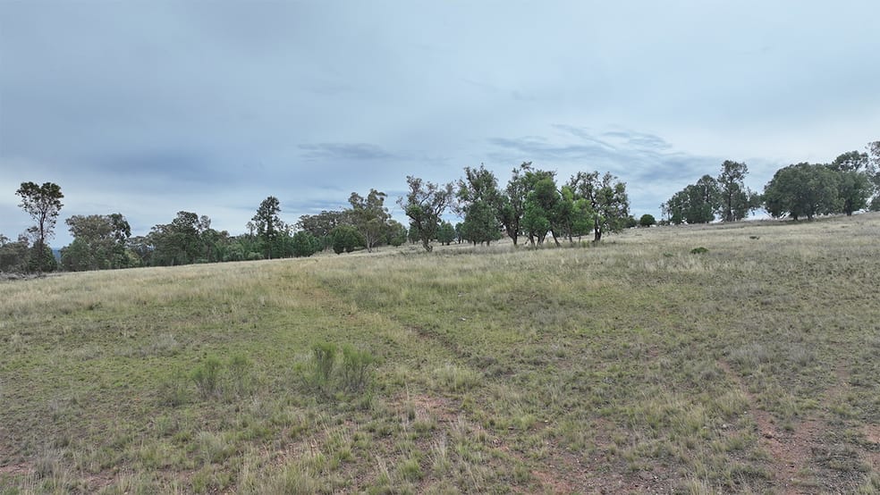 Click to view all images 1632 GAMBLE CREEK ROAD Binnaway NSW 2395 - Image 2