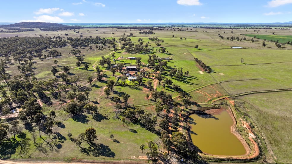 Click to view all images 292 Nolens Road Colinroobie NSW 2700 - Image 1