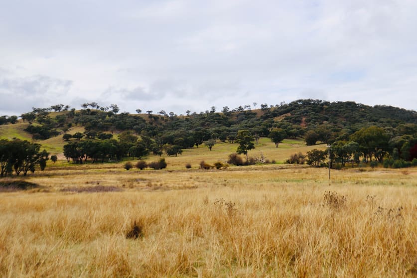 Click to view all images 2081 Sofala Road Peel NSW 2795 - Image 3