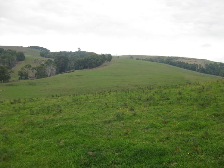Click to view all images 36 Reids Road Irishtown TAS 7330 - Image 2