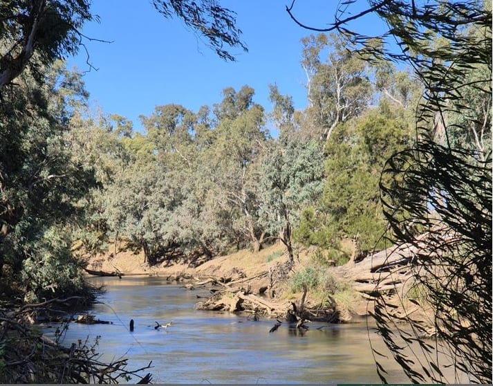123 Barnes Road Eugowra NSW 2806 - Image 1