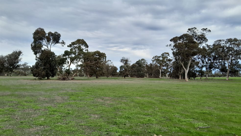 Click to view all images 715 Mattiske Road Katanning WA 6317 - Image 3