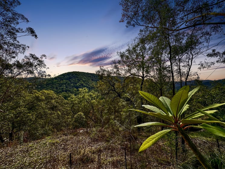 Click to view all images 2127 Wollombi Road Sweetmans Creek NSW 2325 - Image 3
